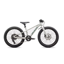 Bicicleta Niños SPZ RipRock 20